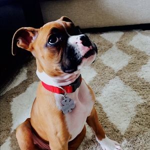 Meet your Posher, David